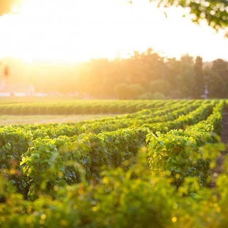 La Cle Des Vignes Villa Saint-Médard-dʼEyrans Esterno foto